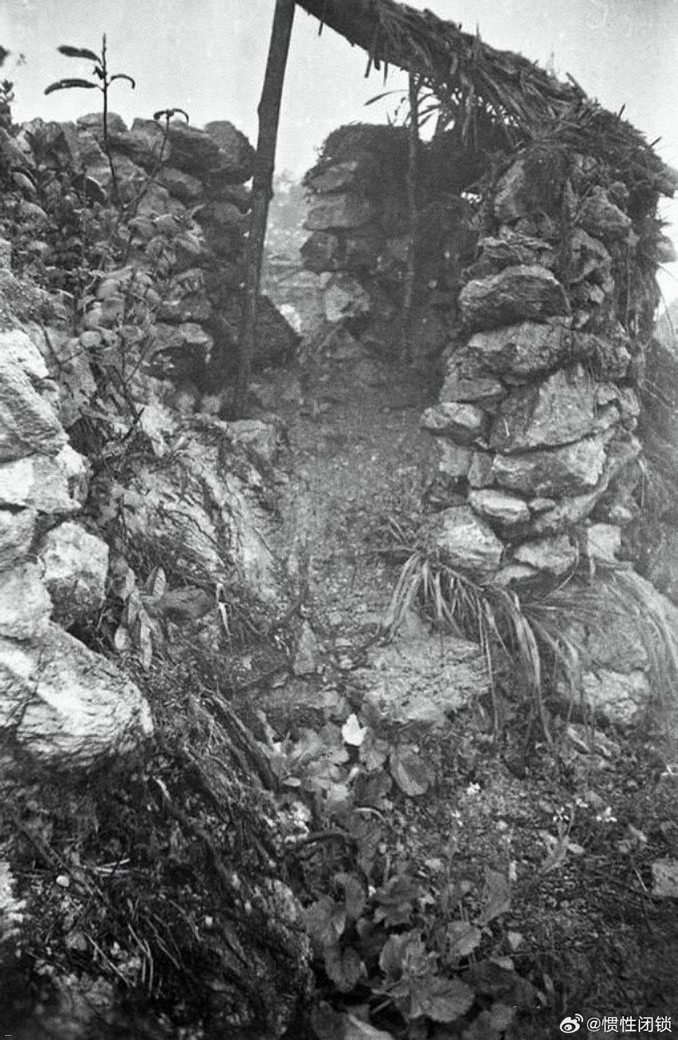 ?3????1???????????   2025070410.jpg