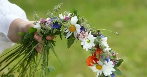 https://i2.imageban.ru/out/2025/07/06/1ca30308f2c4d57d1e673154301e9cb8.webp