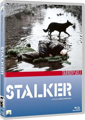 Stalker (1979) .mkv FullHD 1080p HEVC x265 AC3 ITA-RUS