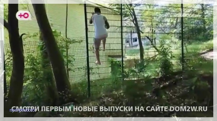 https://i2.imageban.ru/out/2025/07/31/95ed56ee1abd98995ae4afe697e261dc.jpg