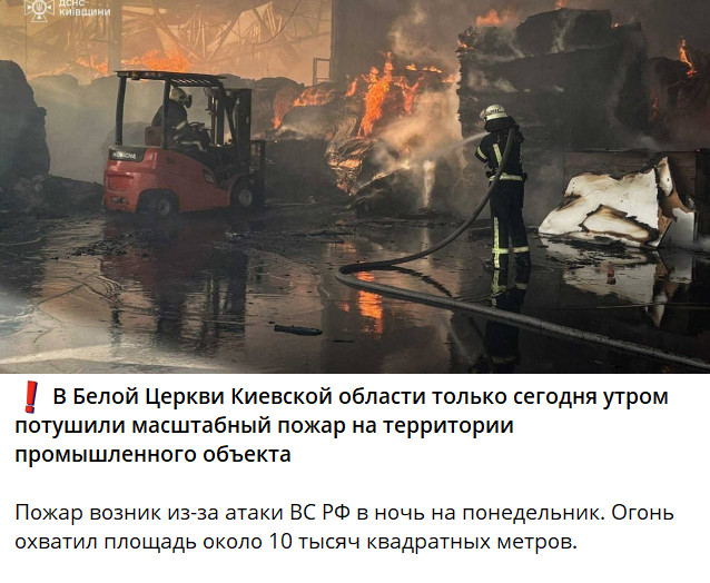 https://i2.imageban.ru/out/2025/08/02/2270e0bf4ad7816ebe1764749adb2264.jpg