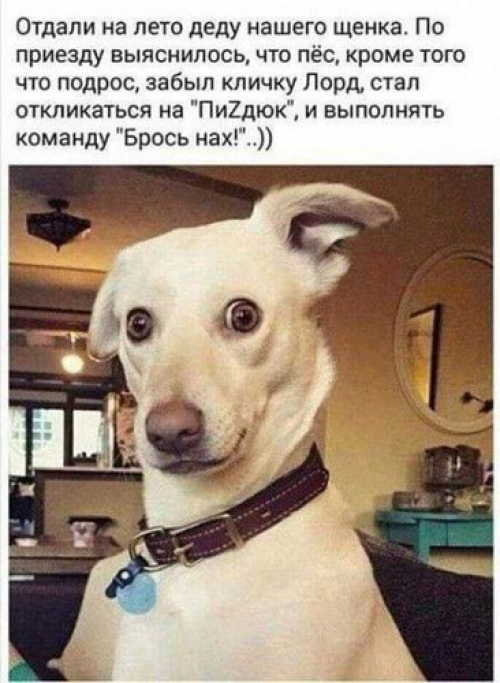 изображение_2025-08-02_005303465.png