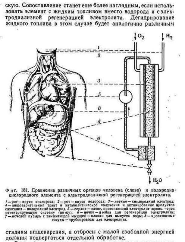 https://i2.imageban.ru/out/2025/09/01/2aedb6a01d0c69e532cdd7b86150cf3c.jpg