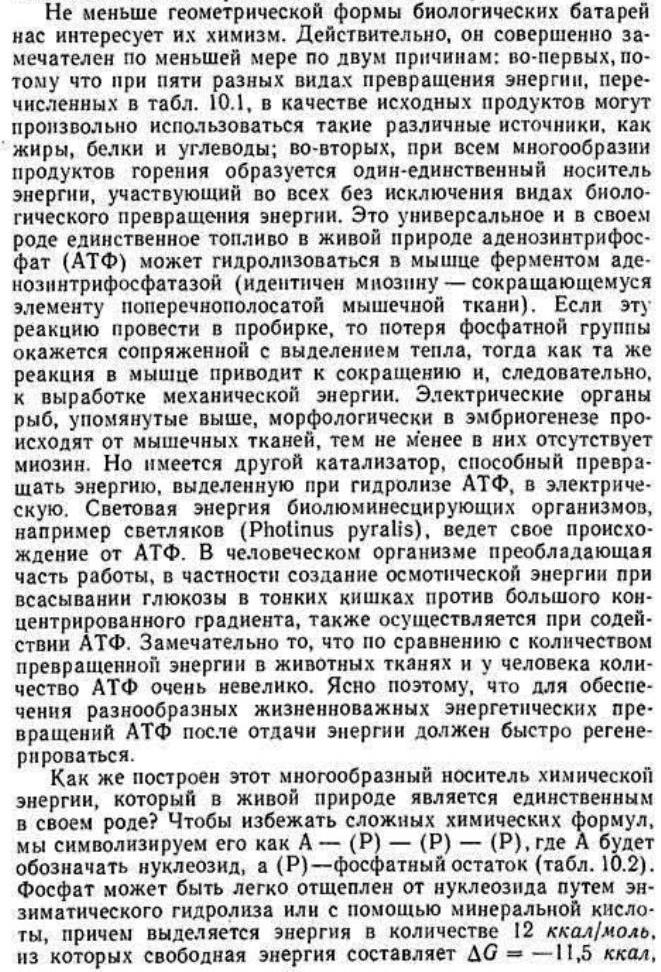 https://i2.imageban.ru/out/2025/09/01/99d89bd18601d173ba9f40d381eb1971.jpg