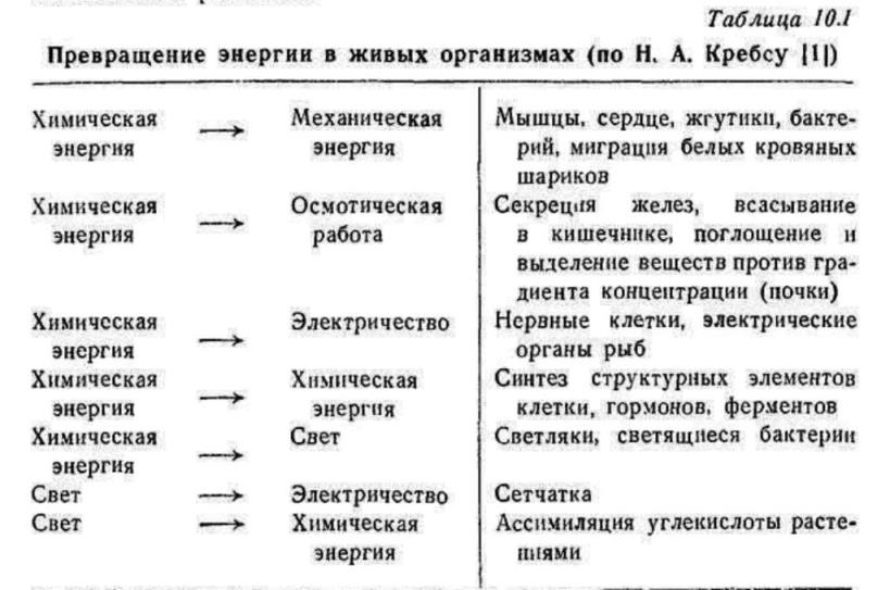 https://i2.imageban.ru/out/2025/09/01/dd1e4daa3462c2acc8b6419fe8fd0039.jpg