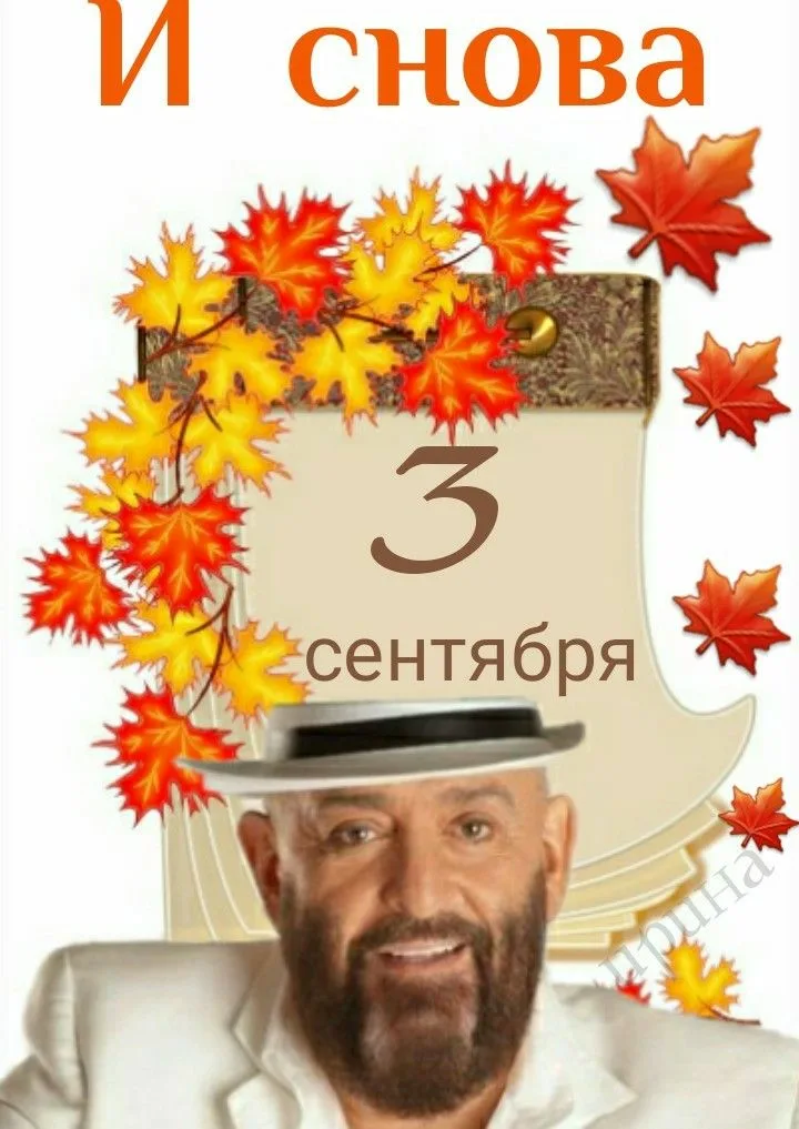 https://i2.imageban.ru/out/2025/09/03/b0058c0817e496e12efb101590adcfbb.webp