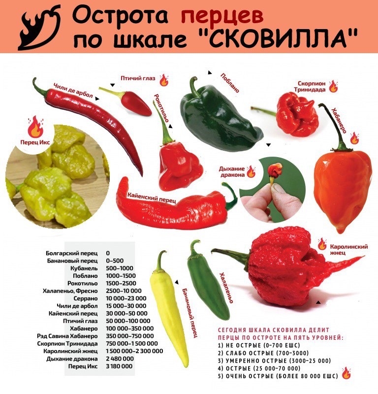 https://i2.imageban.ru/out/2025/09/04/902681f97cbecf55bfd13f91a0e59253.jpeg