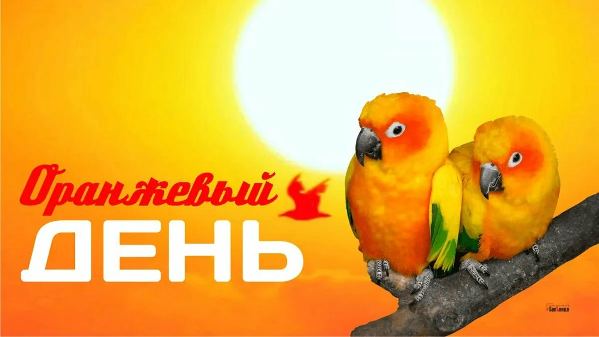 https://i2.imageban.ru/out/2025/09/05/4cf6e34dc6c60e142175ec84110d3f7d.webp