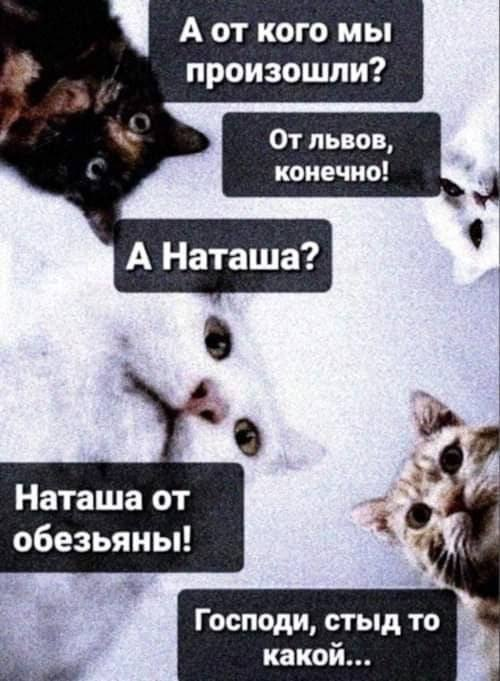 изображение_2025-09-15_170843859.png