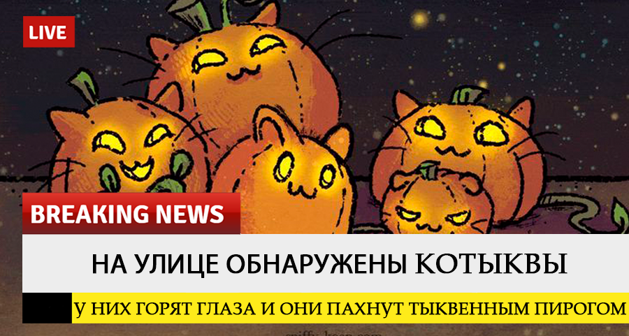 https://i2.imageban.ru/out/2025/09/22/d0b9a732e3af331d8fbe10743cab1ce7.png