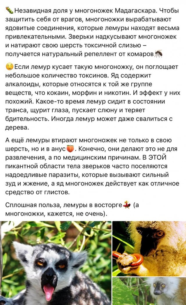 https://i2.imageban.ru/out/2025/09/25/038986bf48e153b3486b55ae60118a6b.jpg