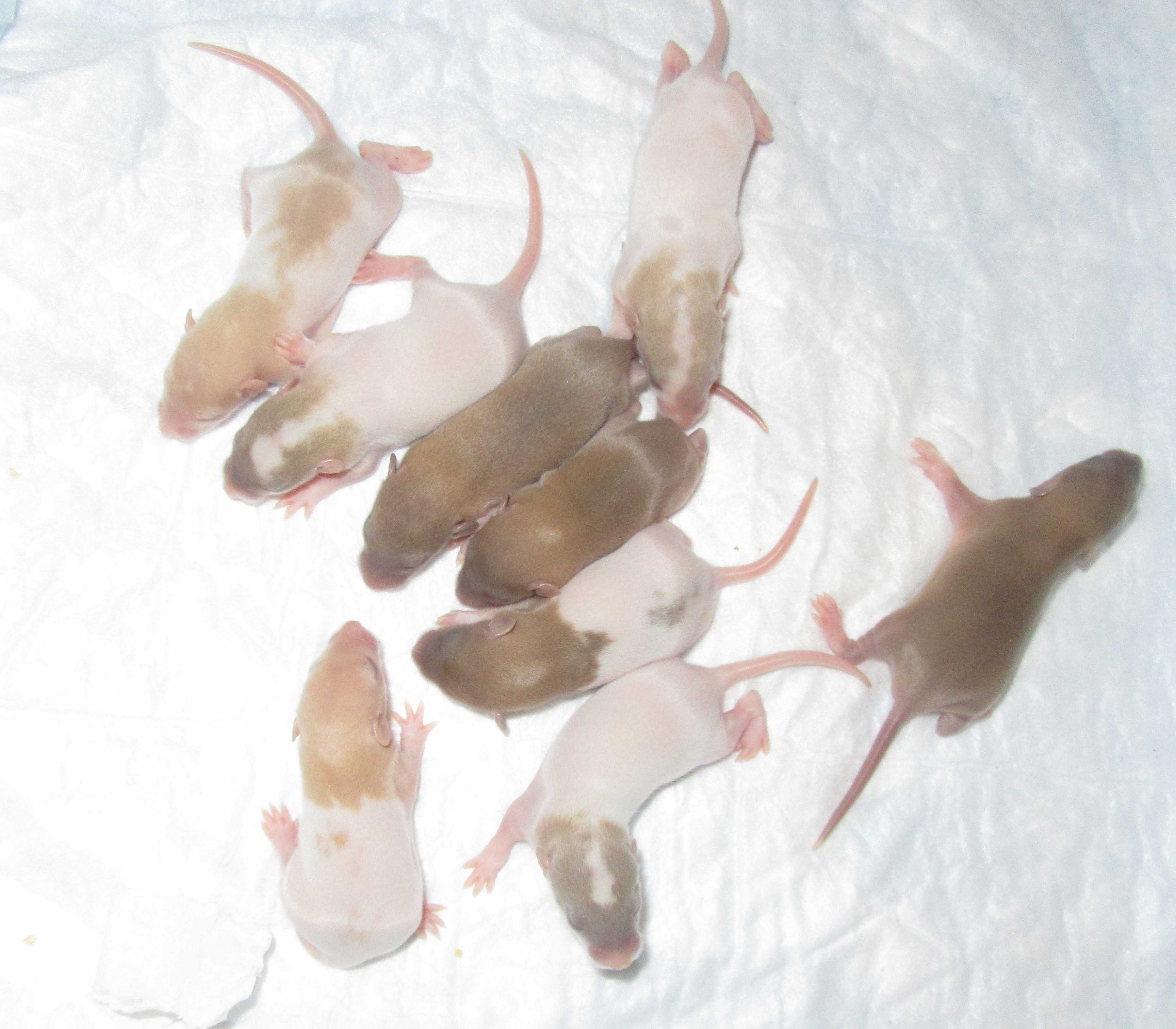 L4 мальчики 03.jpg