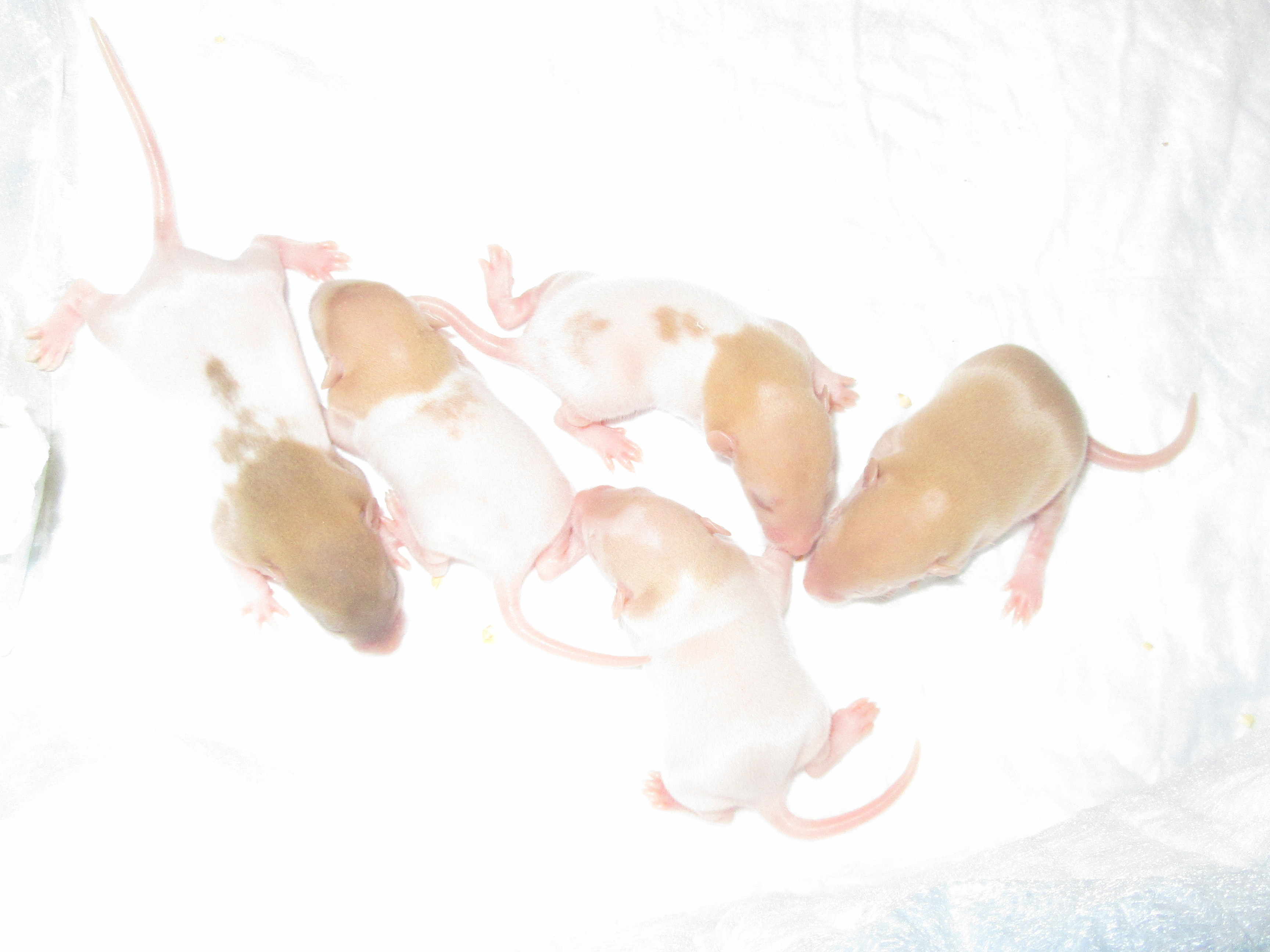 L4 девочки 04.jpg