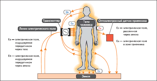 https://i2.imageban.ru/out/2025/10/05/4b4109ba5b0a4d49866ae4a0f6b83893.png