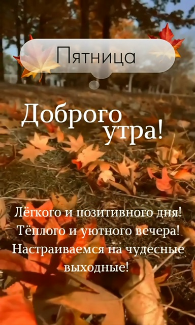 https://i2.imageban.ru/out/2025/10/24/85646506ac8b89e7dea3a5bf3945f38c.jpeg