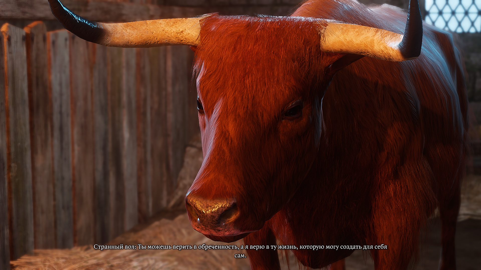 Baldur's Gate 3 Screenshot 2025.11.11 - 21.50.28.79.png