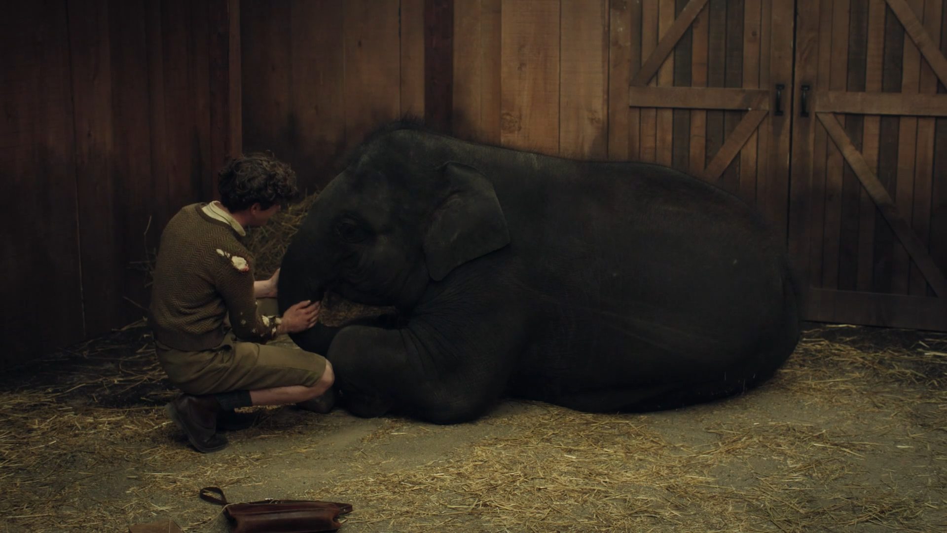 Zoo 2017 WEB-DL 1080p.mkv_snapshot_00.25.19.png