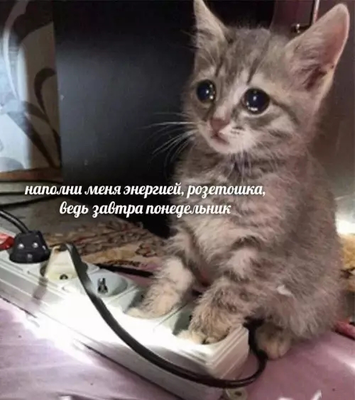 понед LjLLaFij7SSd79_YF3sDINoE6wjb_P-LIACBfTrpSjFUL-Hwg66_PoRGBc0gN63QUzoDRUTjtXtUVocB1DjpU8eb.jpg