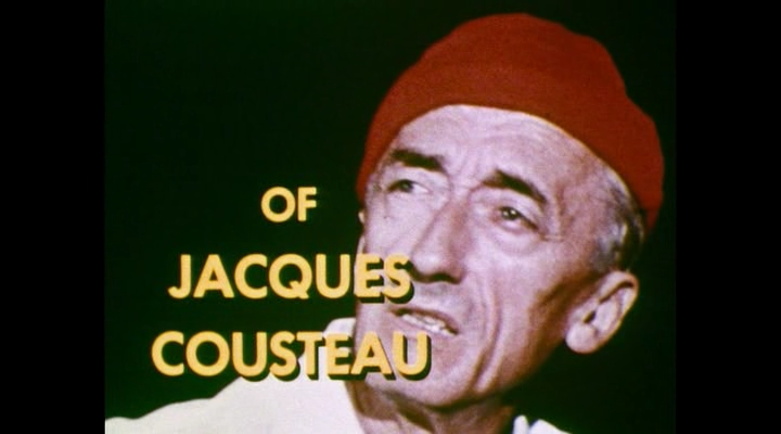 Becoming.Cousteau.2021.BDRip-ylnian.avi_snapshot_00.51.33.583.png