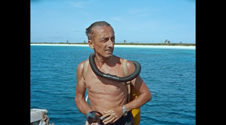 Becoming.Cousteau.2021.BDRip-ylnian.avi_snapshot_00.02.59.377.png