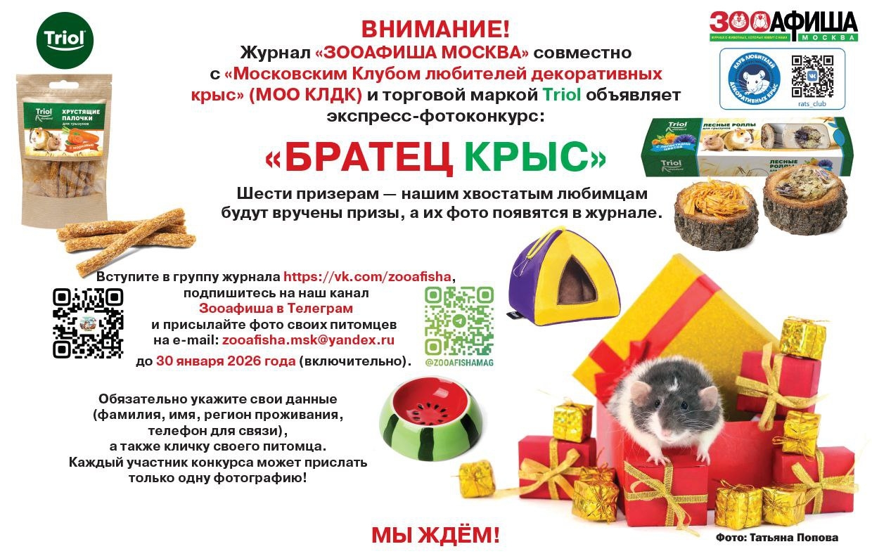 LyGbo7OeLpRAlaVyK1AJJsrwje1h1p_KojyaoX3X6yGJrL82_cUD9_o75h_uvzNmJExrn8df0yPz-bQgufU3ifbG (1).jpg