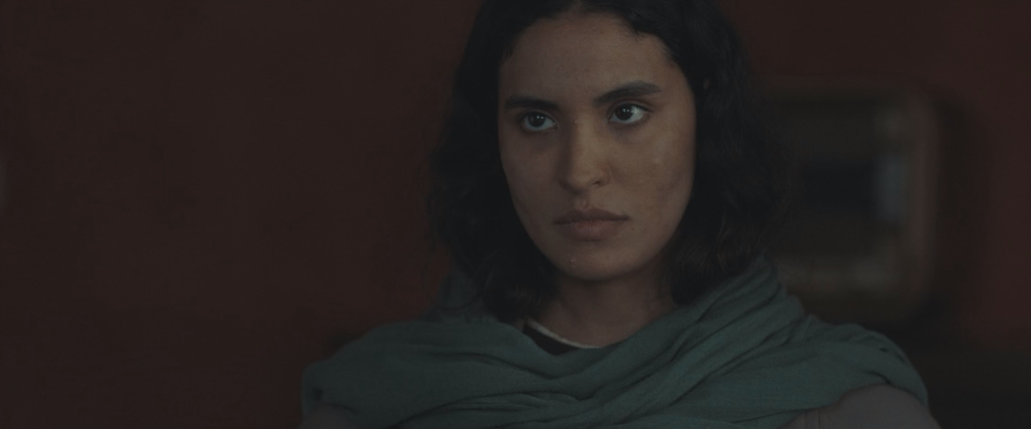 Фанон (2024) HDRip-AVC_ivanes.mkv_snapshot_01.25.56.818.png