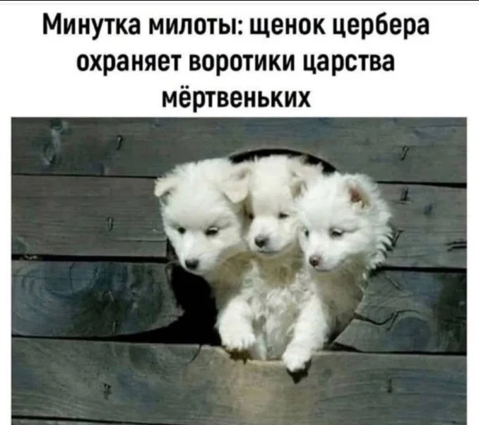 Скриншот 27-12-2025 234328.jpg