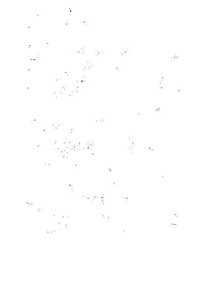 Филенко Е. - Блудные братья (Звёздный лабиринт) - 1999_pic10.jpg