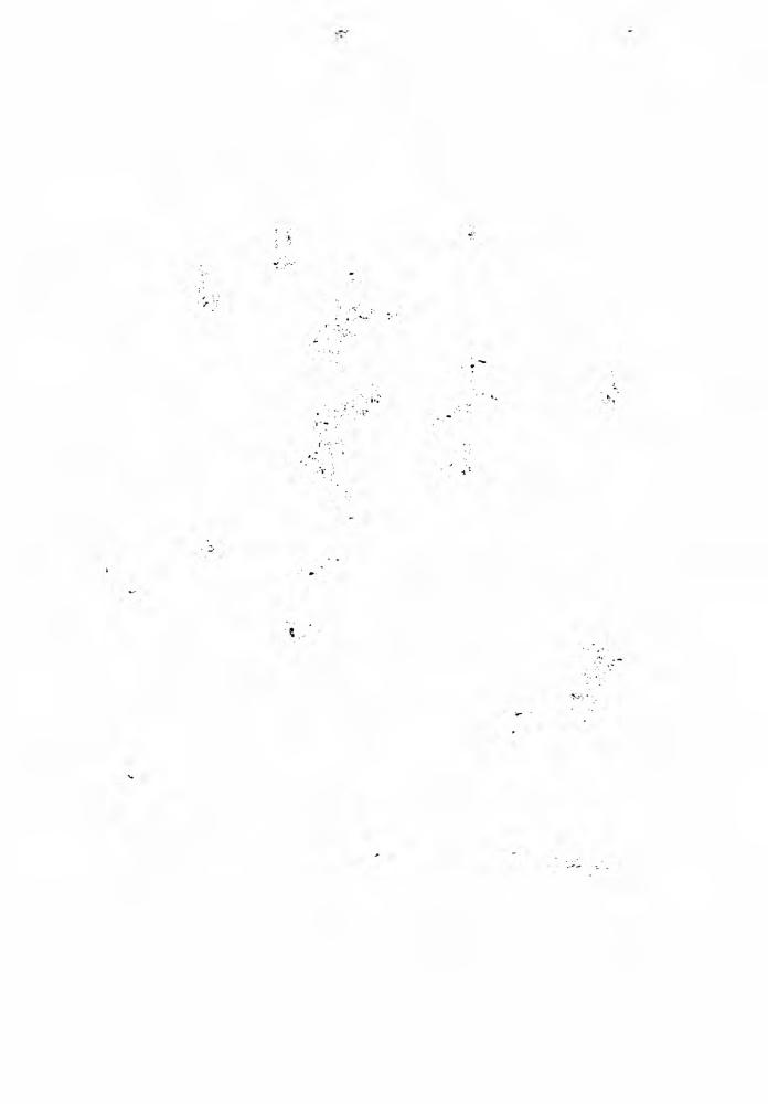 Стюарт М. - Последнее волшебство (Золотая серия фэнтези) - 2001_pic10.jpg