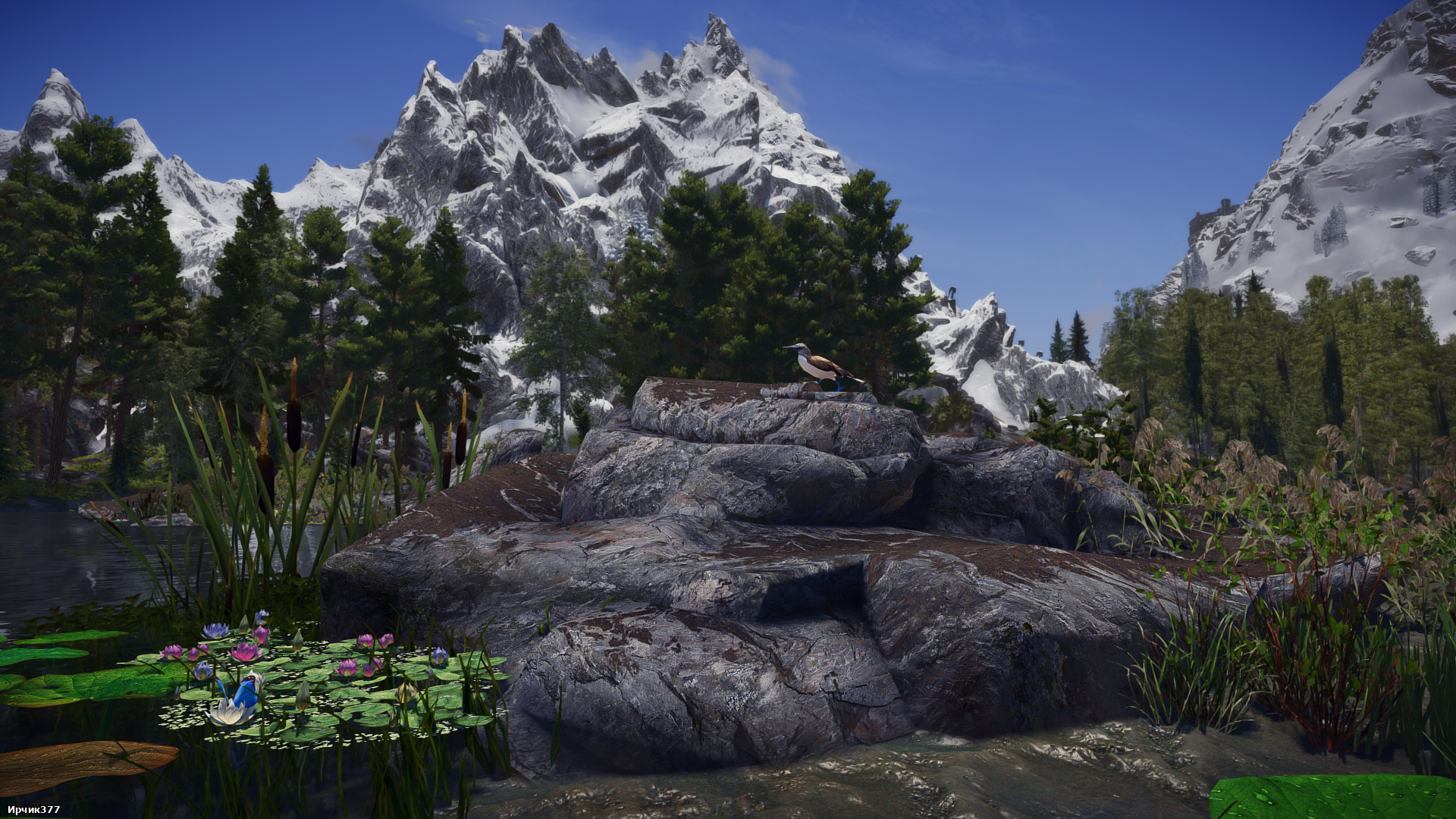 The Elder Scrolls V  Skyrim Special Edition Screenshot 2026.01.31 - 19.51.02.13.png