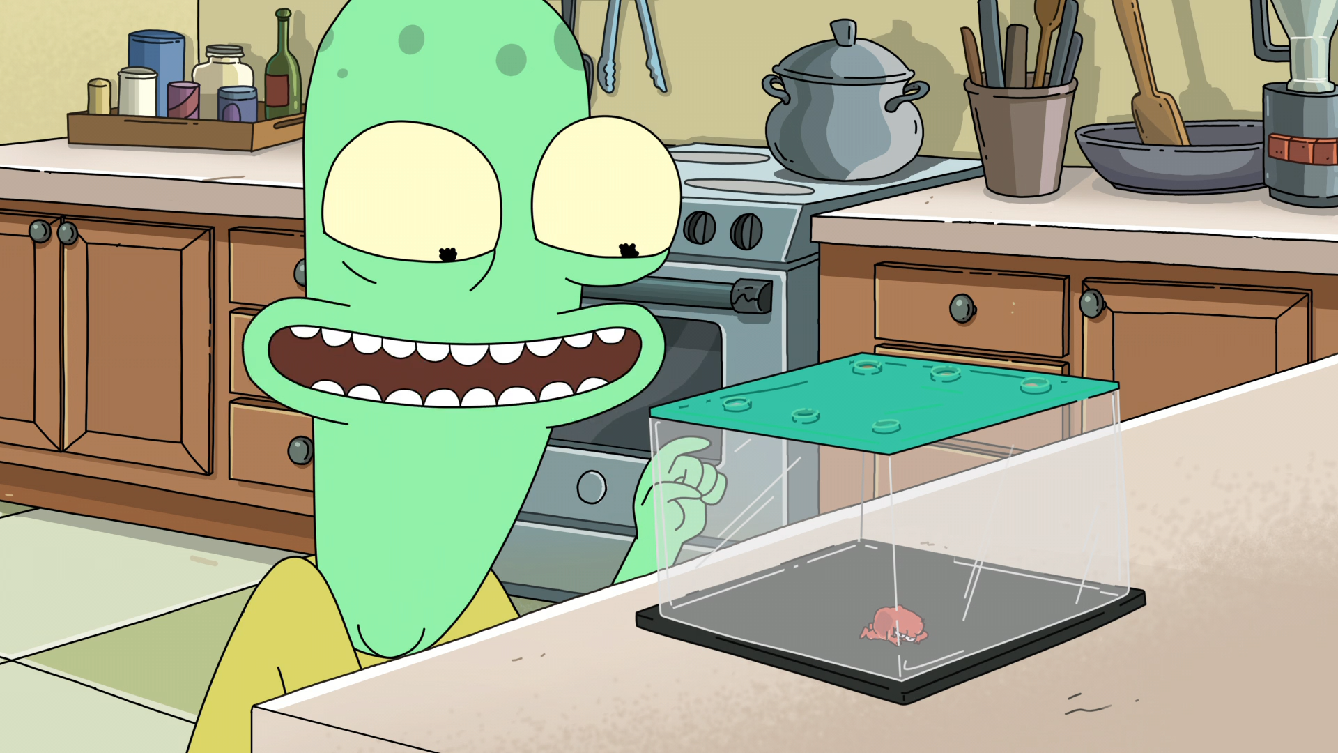 Solar.Opposites.S01E04.1080p.WEB-DL_001_30750.png