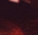 https://i2.imageban.ru/out/2026/02/11/08e78a666e7e3e390aafbd53b94aa7c3.gif