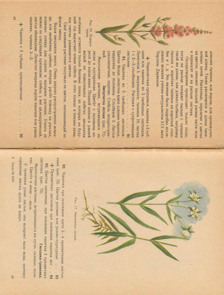 Иванова И. В. - Что растет вокруг тебя (1962)_pic25.jpg