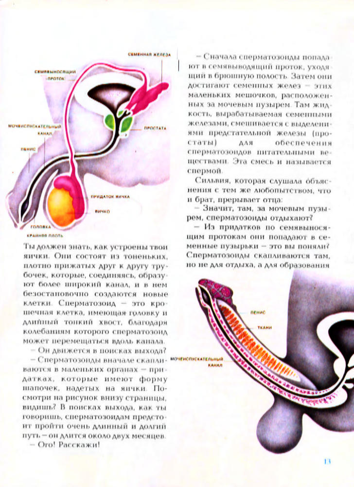Кан-Натан Ж. и др. - Энциклопедия сексуальной жизни для детей 10-13 лет - 1991_pic15.jpg