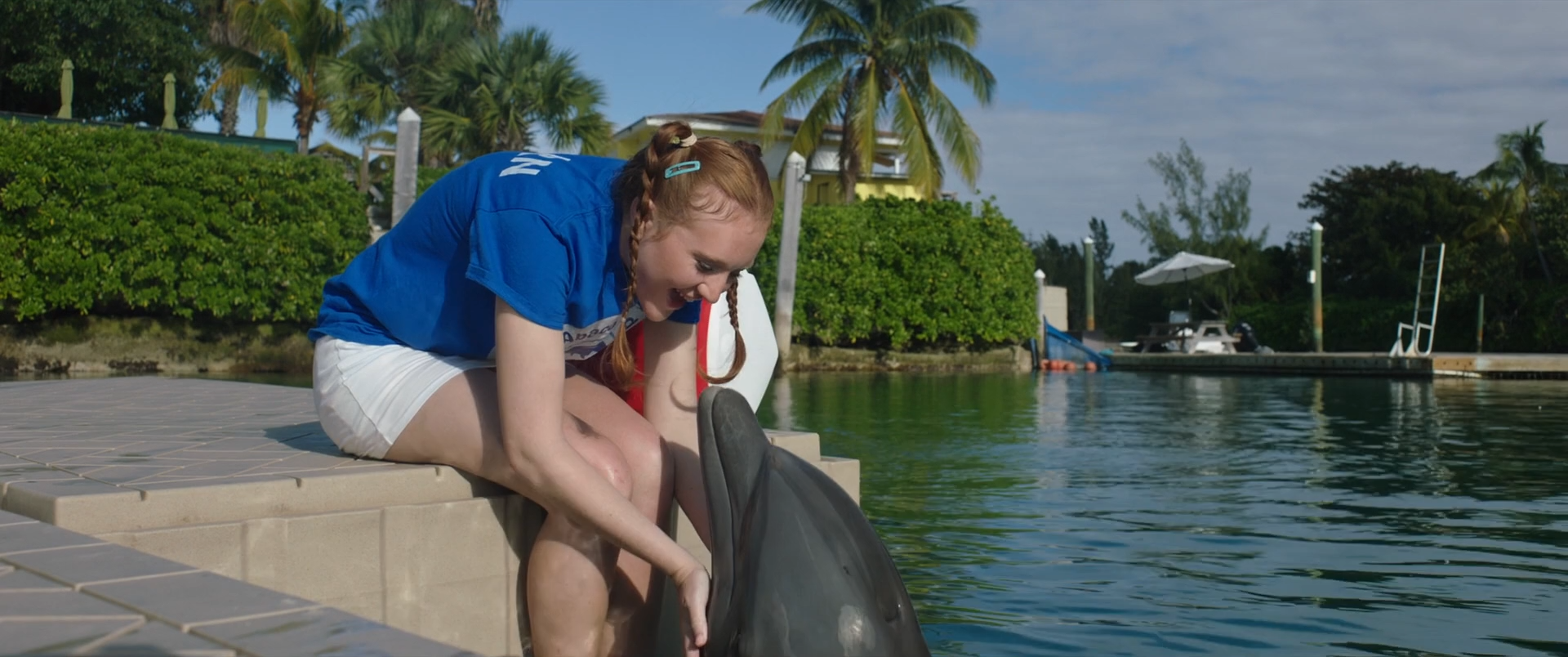 Saving.Bimini.2025.1080p.mkv_snapshot_00.33.00.png