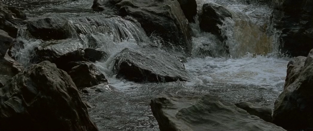 video (1).mkv_20260217_185525.826.png