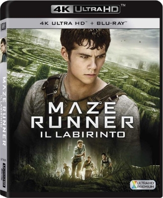 Maze Runner - Il labirinto (2014) Full Blu-Ray 4K 2160p UHD HDR 10Bits HEVC ITA DTS 5.1 ENG DTS-HD MA 7.1 MULTI