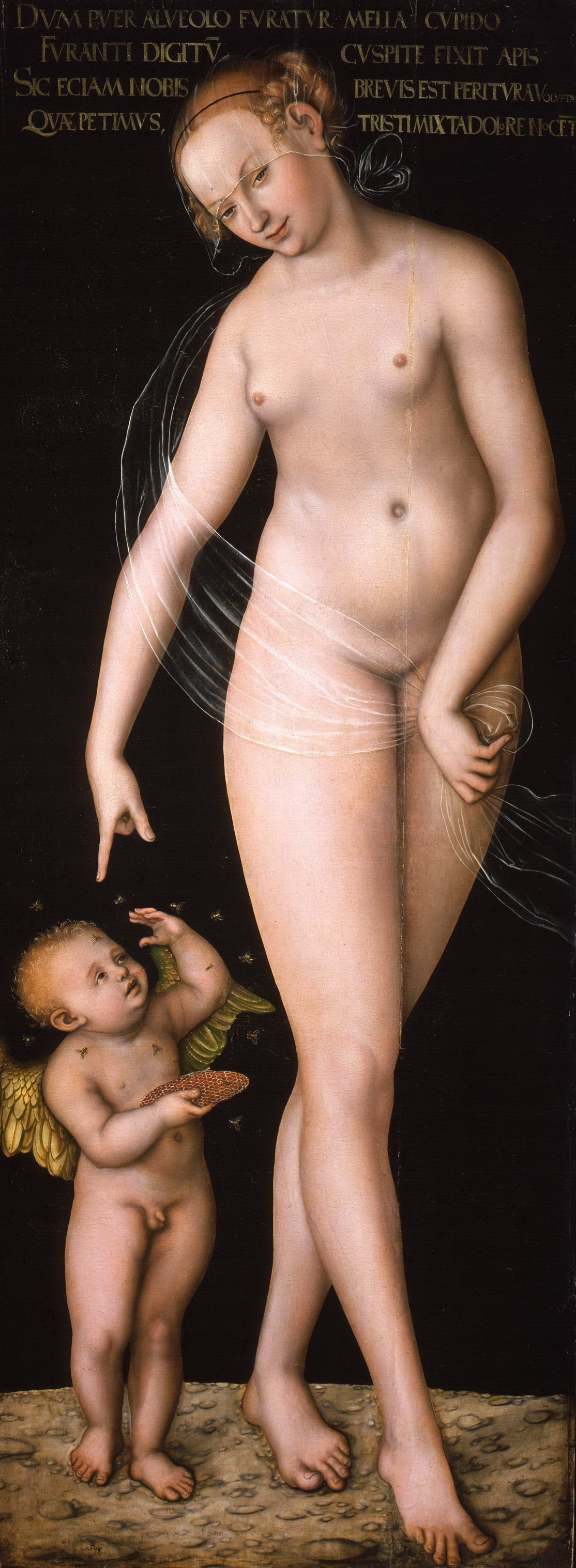 17Cranach,_Lucas_d._?._-_Venus_und_Amor_als_Honigdieb_(Gem?ldegalerie_Berlin).jpg