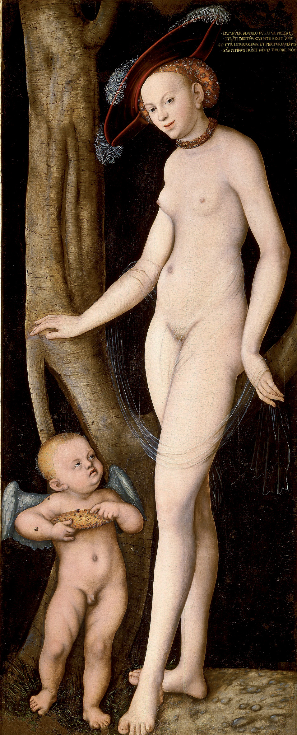 14Lucas_Cranach_d.?._-_Venus_mit_Cupid_als_Honigdieb_(Galleria_Borghese).jpg
