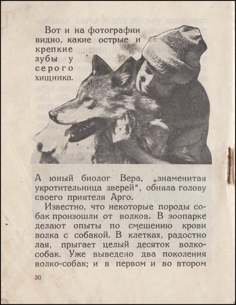Звери в неволе (Библиотечка журнала Дружные ребята) - 1927_pic30.jpg