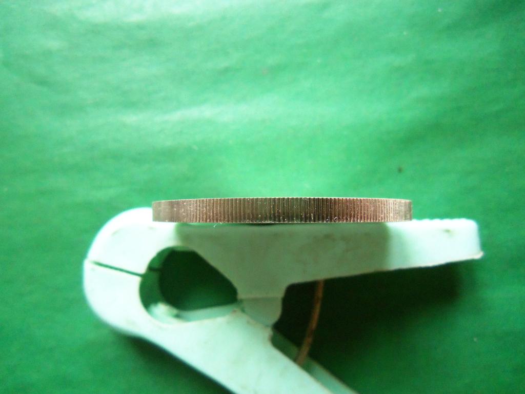 avstralija_1_dollar_2006_g_god_sobaki_pozolota_serebro_unc (1).jpg