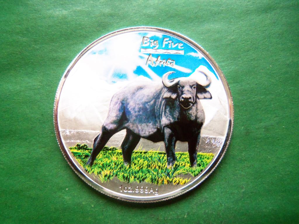 kongo_240_frankov_2008_g_bolshaja_pjaterka_afriki_bujvol_uncija_ag_0_999.jpg