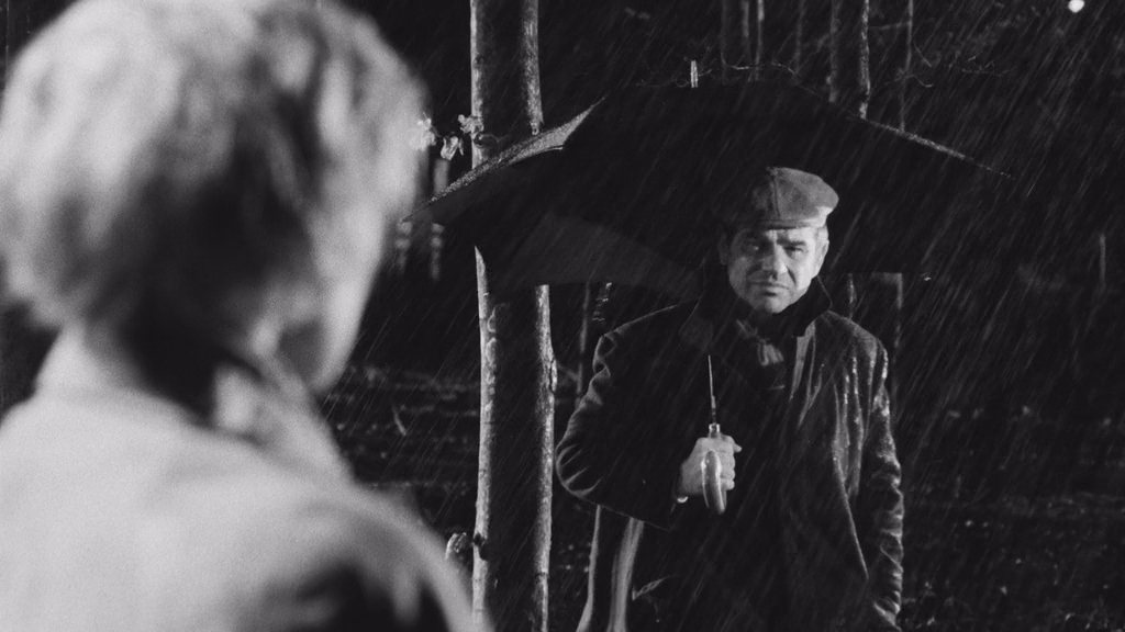 Тоска Вероники Фосс.1982.BDRip AVC msltel.mkv_snapshot_00.04.57.133.jpg