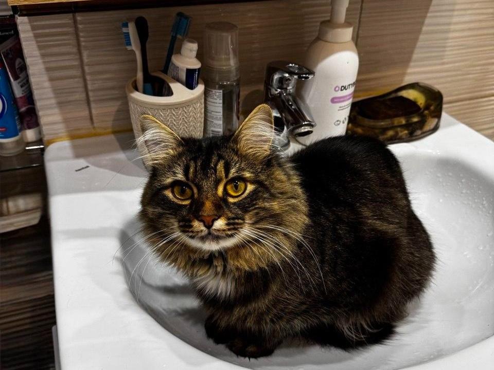 В Балатово на два дня отключат холодную воду для профилактики сетей