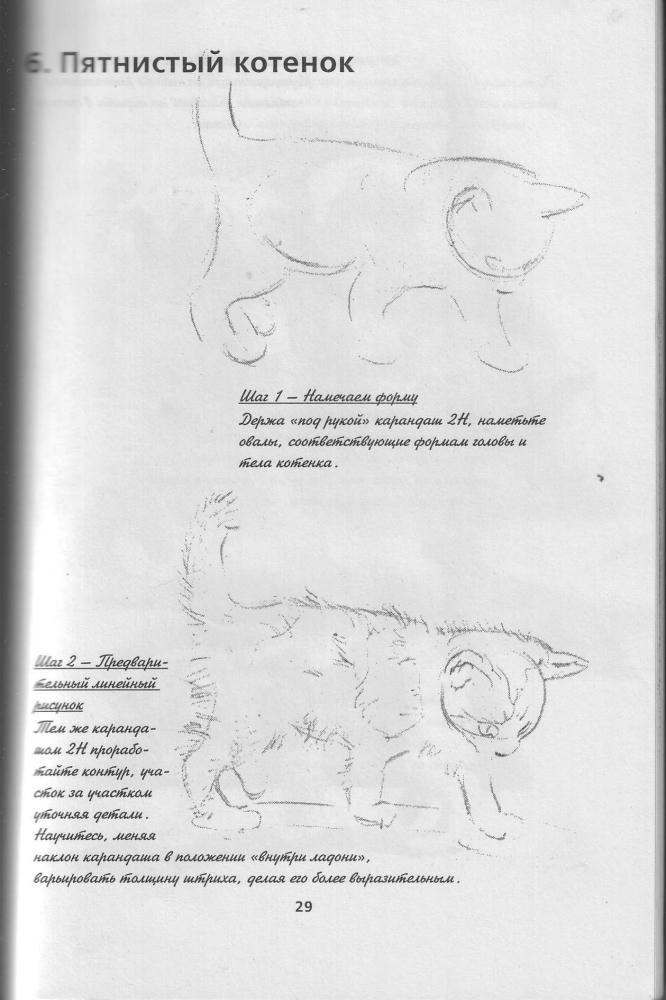 grafika_pic30.jpg