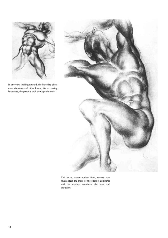Dynamic Figure Drawing_pic10.jpg