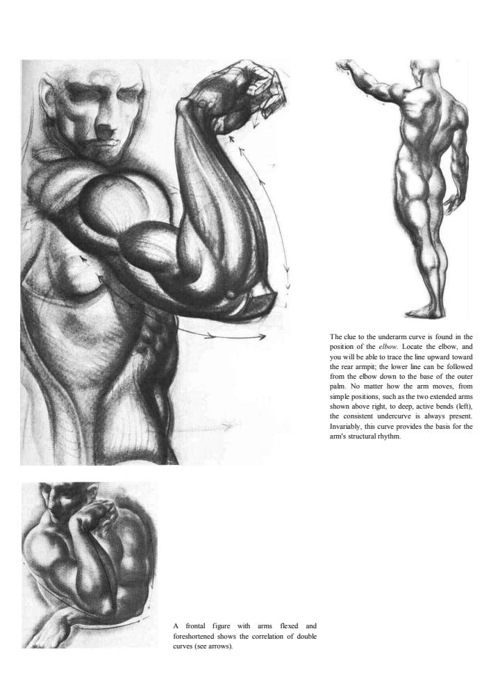 Dynamic Figure Drawing_pic25.jpg