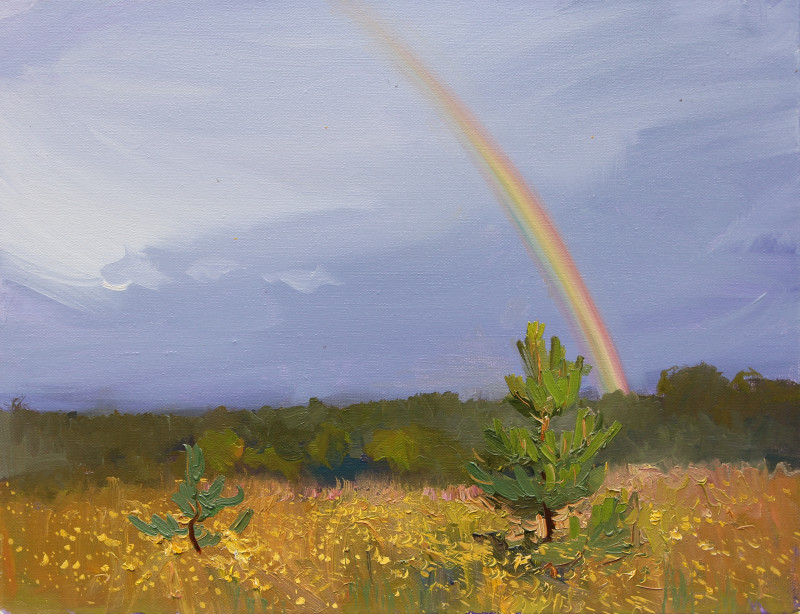 Радуга.jpg