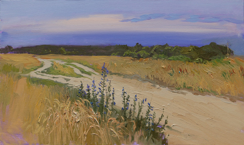 Июльские поля.jpg