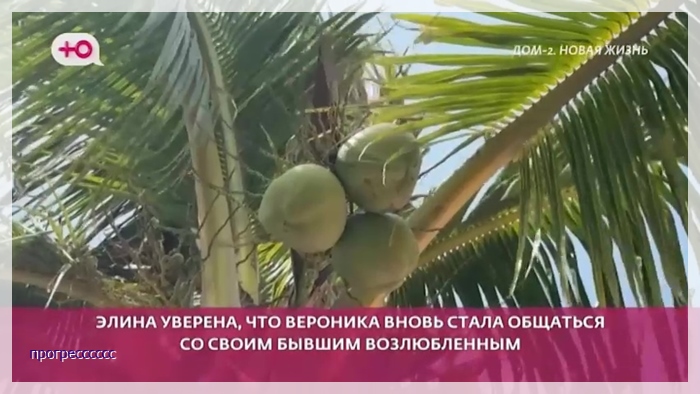 https://i2.imageban.ru/out/2026/03/17/266c664600ea3c67cf18af62ab3602f6.jpg